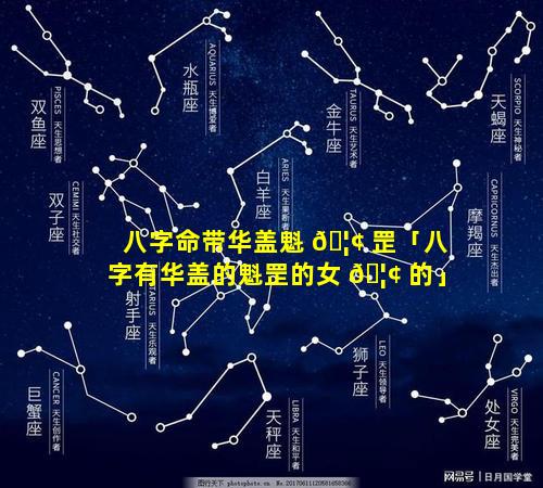 八字命带华盖魁 🦢 罡「八字有华盖的魁罡的女 🦢 的」